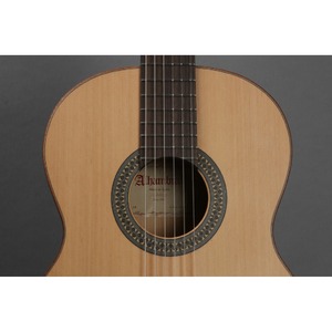 Классическая гитара Alhambra 8.200 Flamenco Student 2F