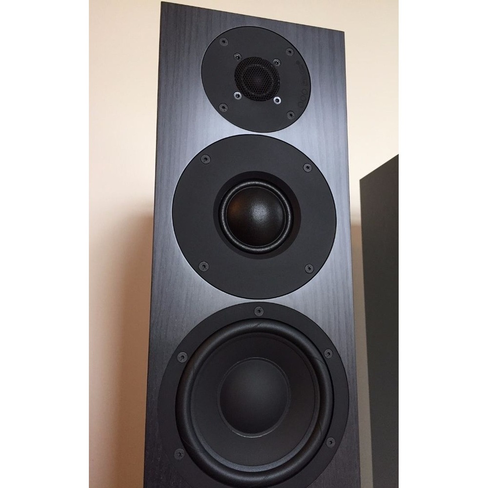 Напольная акустика PMC Fact 12 Graphite Poplar