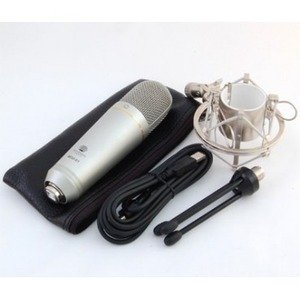 USB микрофон Recording Tools MCU-01 (никель) + стойка и амортизатор