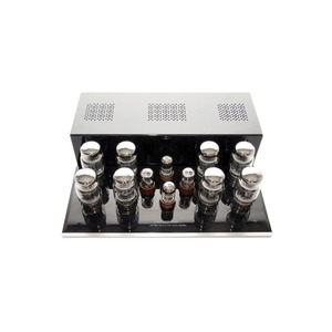 Усилитель мощности Cary Audio Design CAD 120S Silver