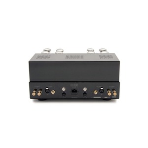 Усилитель мощности Cary Audio Design CAD 120S Silver