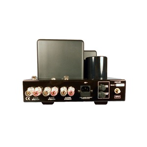 Усилитель мощности Cary Audio Design CAD 805 AE Silver/Black