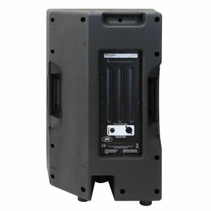 Пассивная AC PEAVEY PVX 15