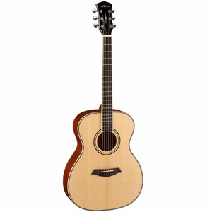 Акустическая гитара Parkwood P620