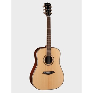 Акустическая гитара Parkwood P810