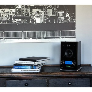 Портативная акустика McIntosh RS100