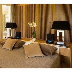 Портативная акустика McIntosh RS100