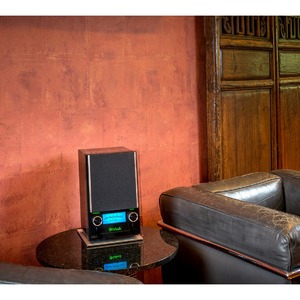 Портативная акустика McIntosh RS100