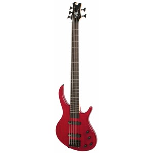 Бас-гитара Epiphone Toby Deluxe-V Bass (gloss) TR