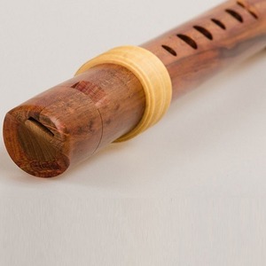 Блок флейта Mollenhauer TE-4118 Dream-Edition