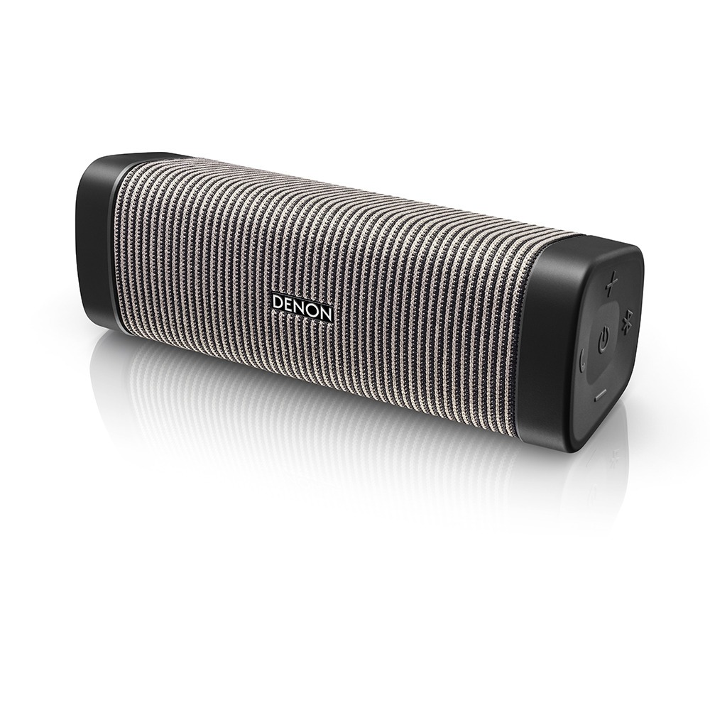 Портативная акустика Denon Envaya DSB-250 Grey