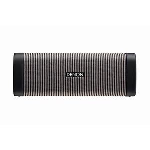 Портативная акустика Denon Envaya DSB-250 Grey
