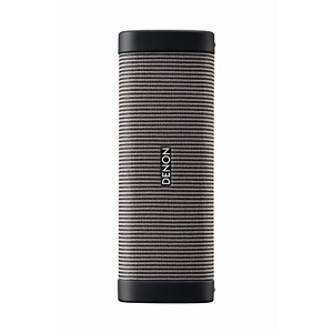 Портативная акустика Denon Envaya DSB-250 Grey