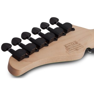 Электрогитара SCHECTER Sun Valley Super Shredder FR III ARB
