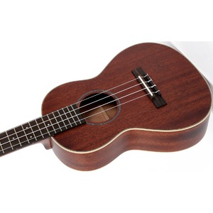 Укулеле Sigma SUM-2T+