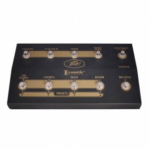 Комбоусилитель для акустической гитары PEAVEY Ecoustic E110