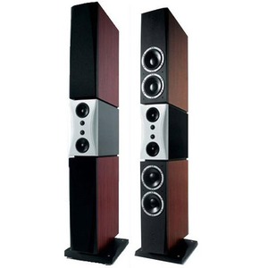 Напольная акустика Dynaudio EVIDENCE MASTER ROSEWOOD HIGH GLOSS