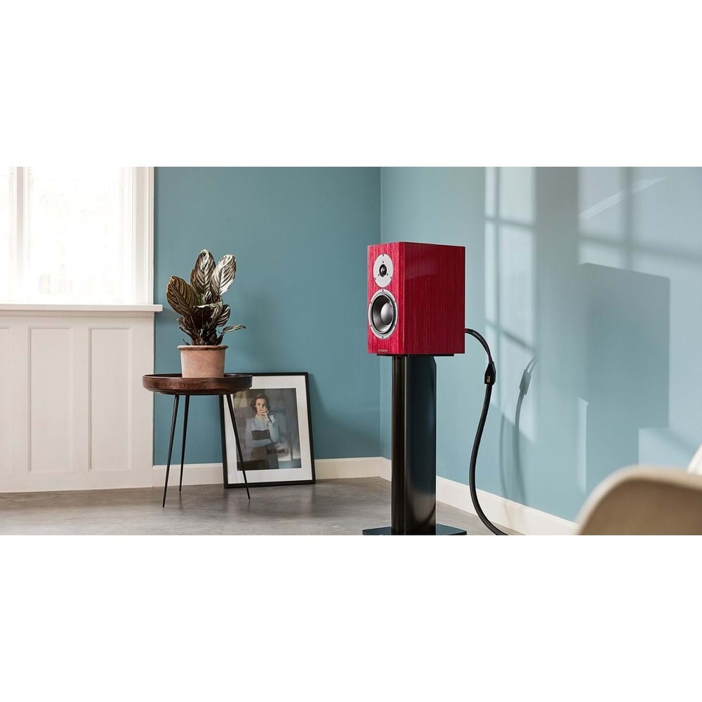 Полочная акустика Dynaudio SPECIAL FORTY Red birch high gloss