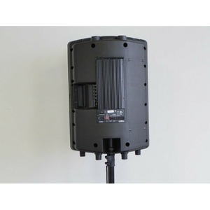 Активная акустическая система Soundking FP215A