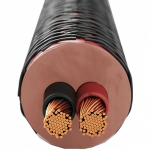 Акустический кабель Single-Wire Banana - Banana Dali SC RM230C 2 x 2 m.