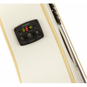 Электроакустическая гитара Fender MALIBU PLAYER ARG