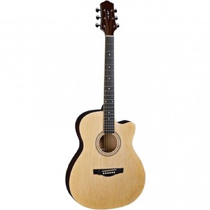 Акустическая гитара Naranda F303CN