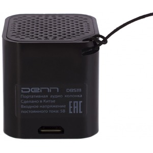 Портативная акустика Denn DBS111