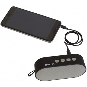 Портативная акустика Denn DBS121