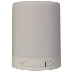 Портативная акустика Denn DBS141