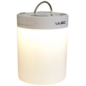 Портативная акустика Denn DBS141