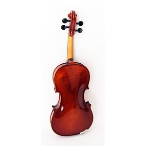 Скрипка Strunal 193wA-4/4