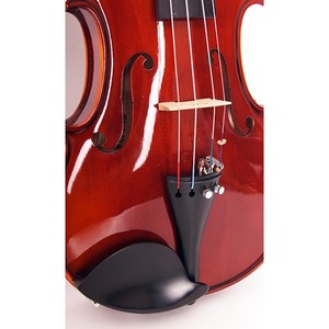 Скрипка Strunal 193wA-4/4