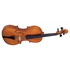 Скрипка Strunal 29wA-3/4