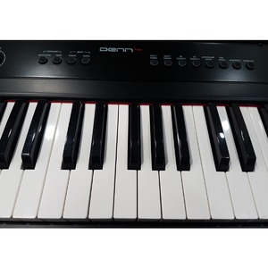 Пианино цифровое Denn PRO PW01 BK
