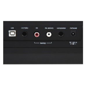 Пианино цифровое Denn PRO PW01 BK