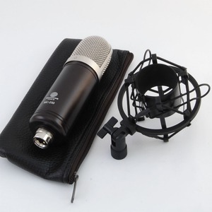 Микрофон студийный конденсаторный Recording Tools MC-200