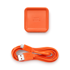 Портативная акустика JBL TUNER FM BLK