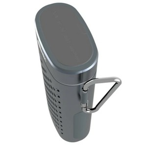 Портативная акустика Ritmix SP-440PB grey