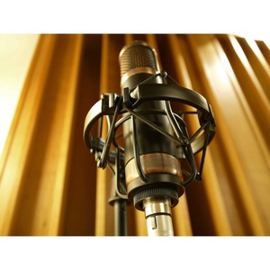 Микрофон студийный конденсаторный Telefunken CU-29 Copperhead