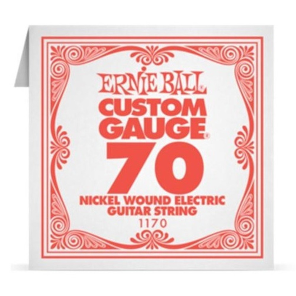 Струна для электрогитар Ernie Ball 1670