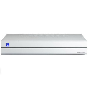 Усилитель мощности PS Audio Stellar Amplifier M700 Silver