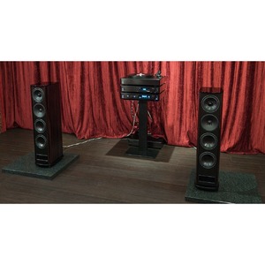 Напольная акустика T+A TCD 315 S Macassar ebony