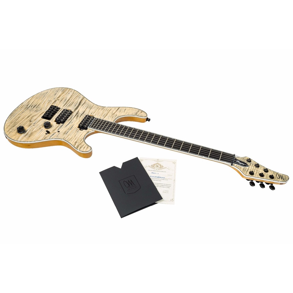 Электрогитара MAYONES Regius 6 T-JNS-BLK-G