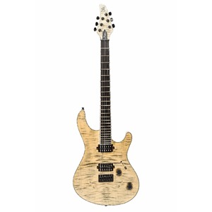 Электрогитара MAYONES Regius 6 T-JNS-BLK-G