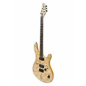 Электрогитара MAYONES Regius 6 T-JNS-BLK-G
