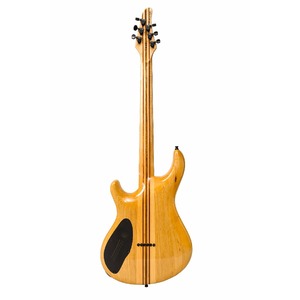 Электрогитара MAYONES Regius 6 T-JNS-BLK-G
