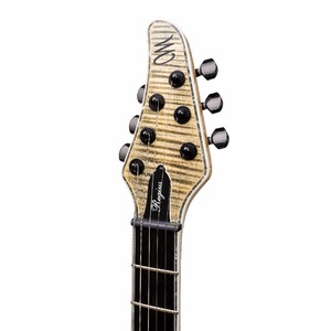 Электрогитара MAYONES Regius 6 T-JNS-BLK-G