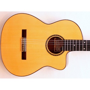 Электроакустическая гитара Prudencio Saez Cutaway Model 169