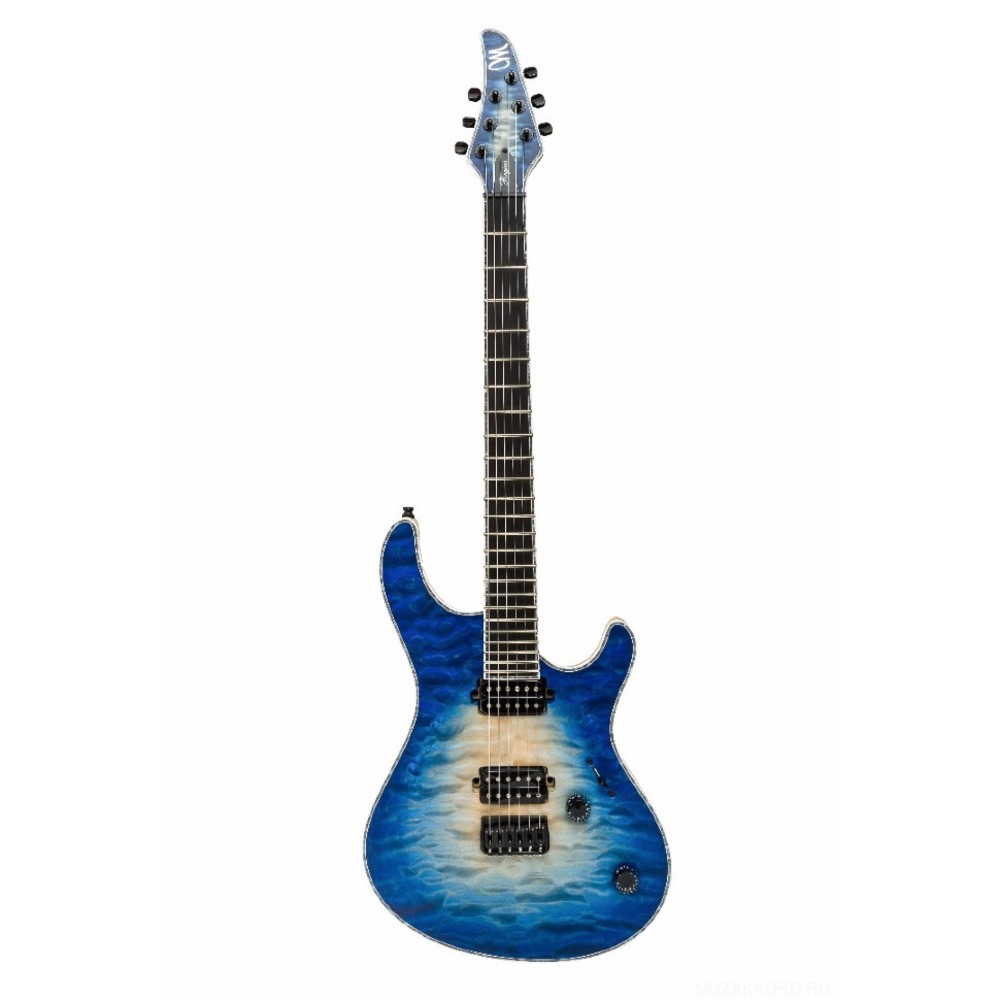 Электрогитара MAYONES Regius 6 T-NF-BL-B-OUT-M