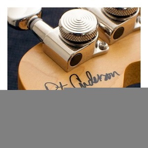 Электрогитара REVEREND Signature Pete Anderson Eastsider T Satin Black